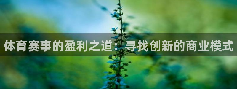 体育赛事的盈利之道：寻找创新的商业模式