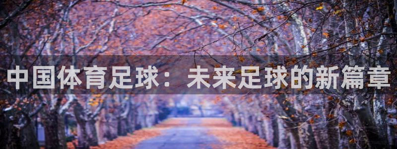 中国体育足球：未来足球的新篇章
