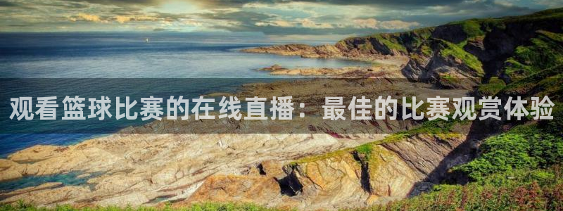 观看篮球比赛的在线直播：最佳的比赛观赏体验
