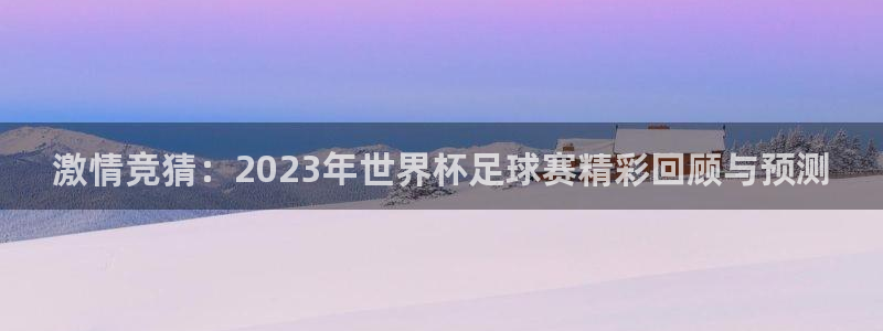 激情竞猜：2023年世界杯足球赛精彩回顾与预测