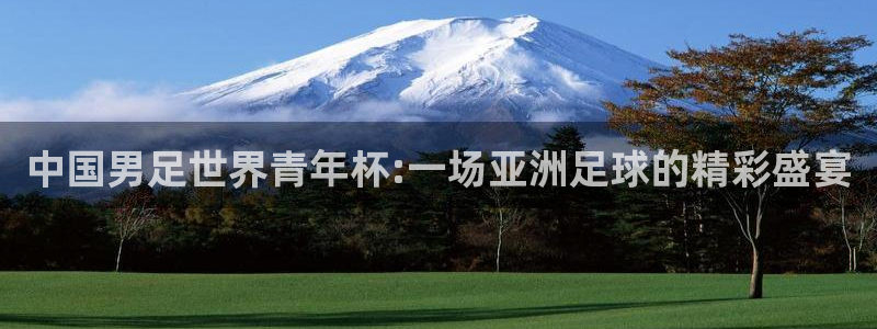 中国男足世界青年杯:一场亚洲足球的精彩盛宴