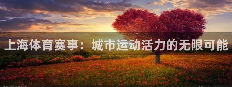 上海体育赛事：城市运动活力的无限可能