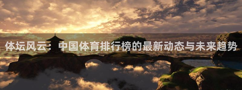 体坛风云：中国体育排行榜的最新动态与未来趋势