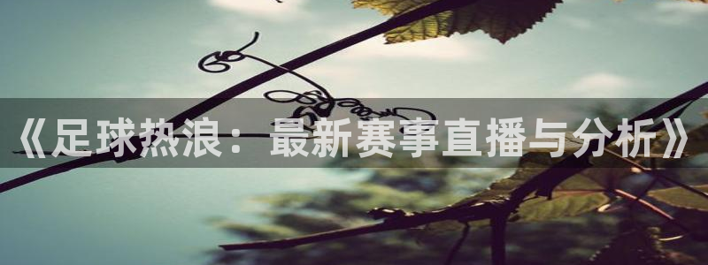 《足球热浪：最新赛事直播与分析》