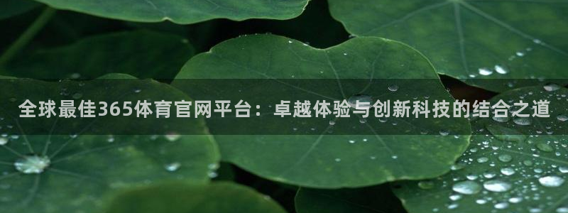 全球最佳365体育官网平台：卓越体验与创新科技的结合之道