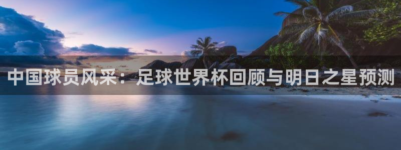 中国球员风采：足球世界杯回顾与明日之星预测