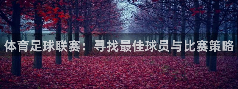 体育足球联赛：寻找最佳球员与比赛策略
