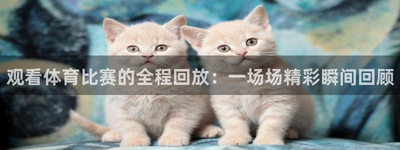 观看体育比赛的全程回放：一场场精彩瞬间回顾