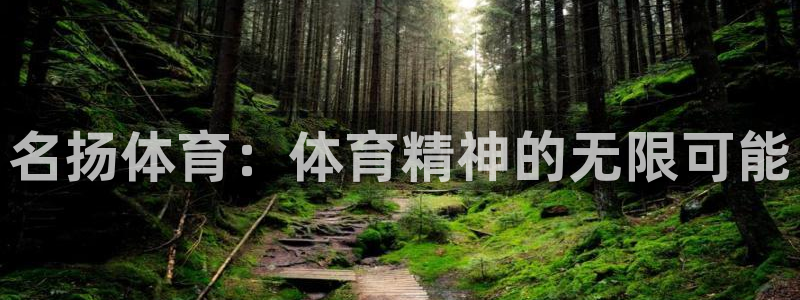 名扬体育：体育精神的无限可能