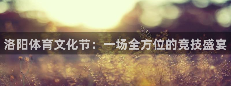 洛阳体育文化节：一场全方位的竞技盛宴