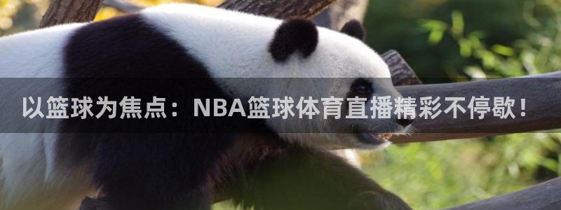 以篮球为焦点：NBA篮球体育直播精彩不停歇！