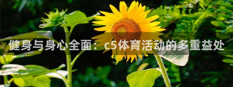 健身与身心全面：c5体育活动的多重益处