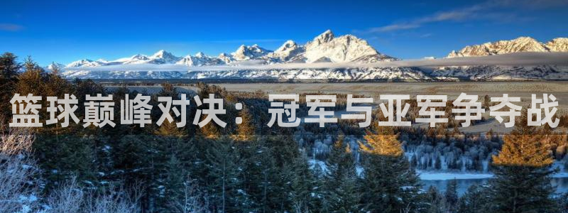 篮球巅峰对决：冠军与亚军争夺战