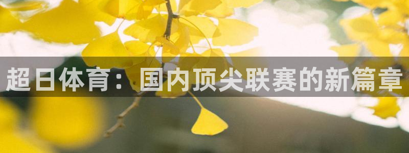 超日体育：国内顶尖联赛的新篇章