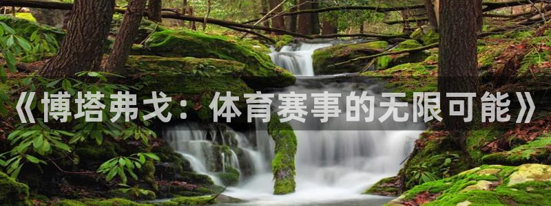 《博塔弗戈：体育赛事的无限可能》