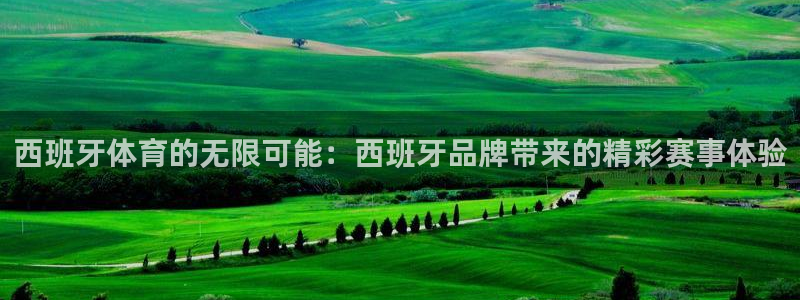西班牙体育的无限可能：西班牙品牌带来的精彩赛事体验