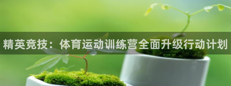 精英竞技：体育运动训练营全面升级行动计划