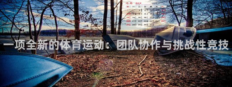 一项全新的体育运动：团队协作与挑战性竞技