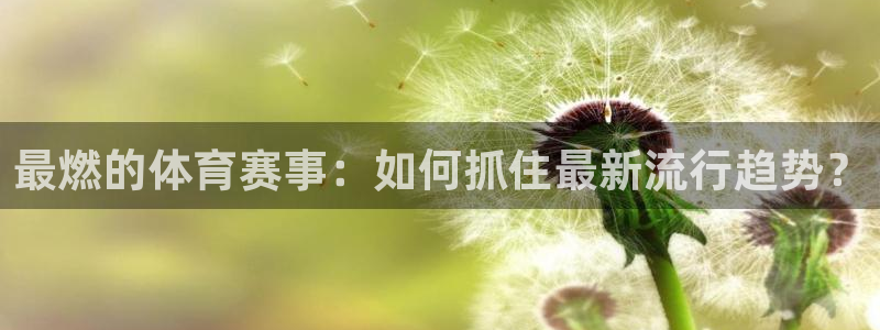 最燃的体育赛事：如何抓住最新流行趋势？