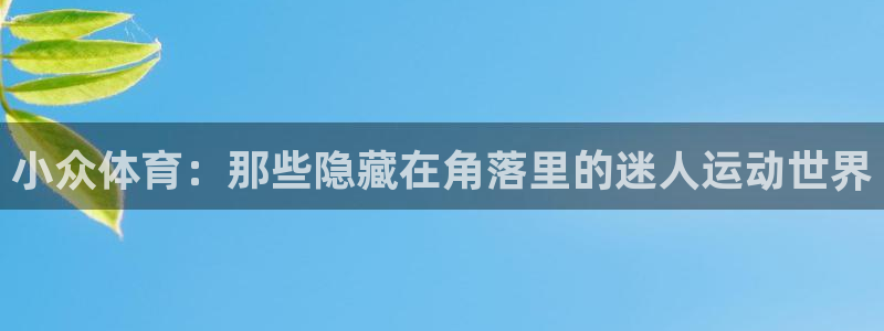 小众体育：那些隐藏在角落里的迷人运动世界