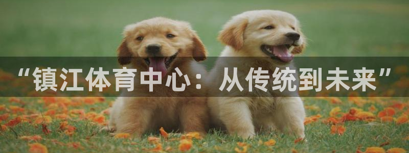 “镇江体育中心：从传统到未来”