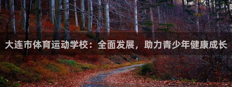 大连市体育运动学校：全面发展，助力青少年健康成长