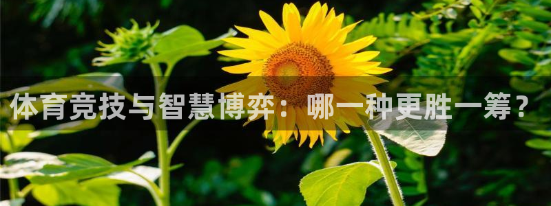 体育竞技与智慧博弈：哪一种更胜一筹？
