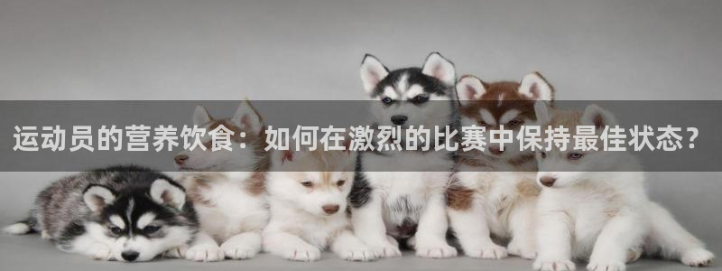 运动员的营养饮食：如何在激烈的比赛中保持最佳状态？