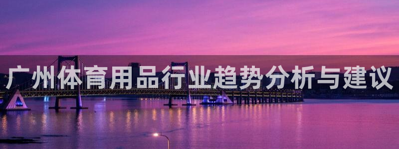 广州体育用品行业趋势分析与建议