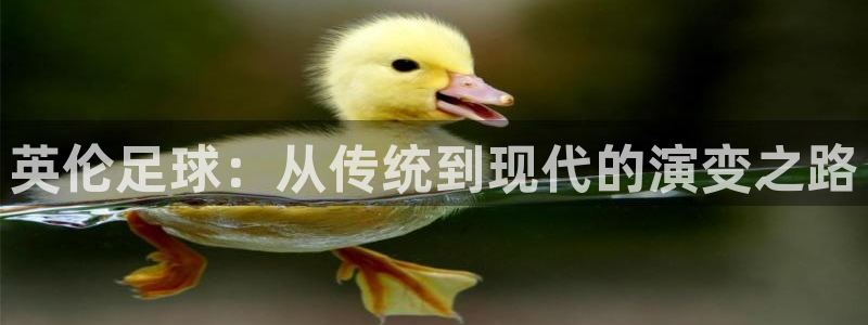 英伦足球：从传统到现代的演变之路