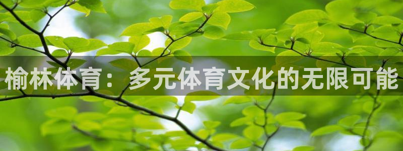 榆林体育：多元体育文化的无限可能